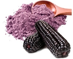 Purple Corn