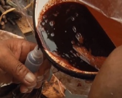 Sangre-de-grado-Dragon’s-blood