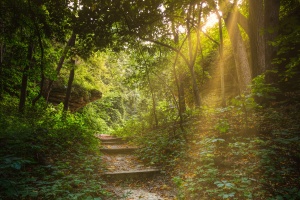 Natural Folk Remedies